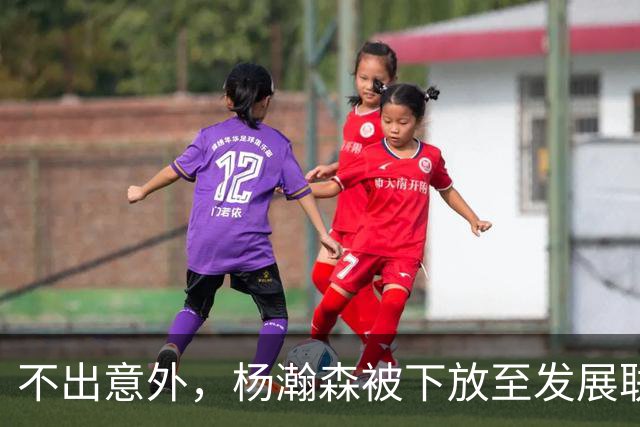 不出意外，杨瀚森被下放至发展联盟，距离球队是否续约还剩 6 天