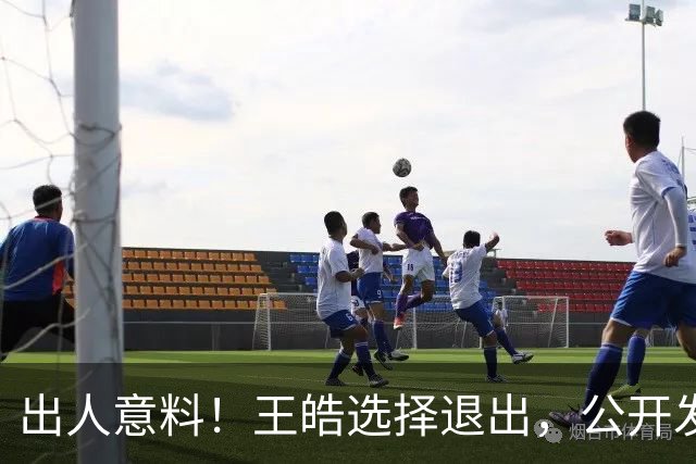 出人意料！王皓选择退出，公开发声回应，乒协批准这项意外决定