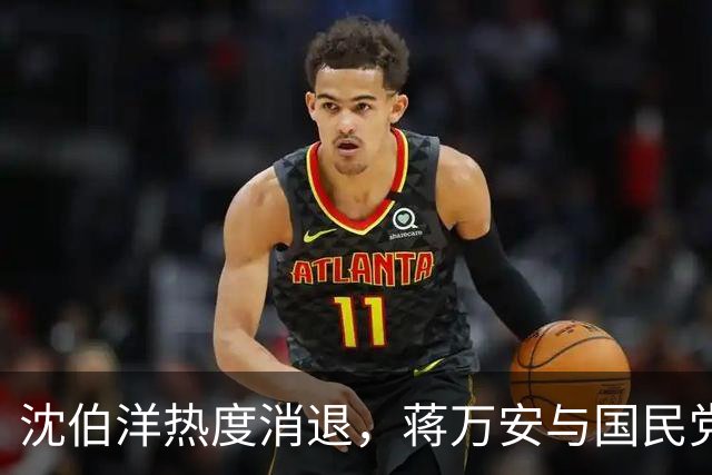 沈伯洋热度消退，蒋万安与国民党已全面反攻，赵少康要将功赎罪？