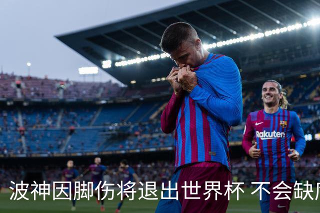 波神因脚伤将退出世界杯 不会缺席绿军训练营