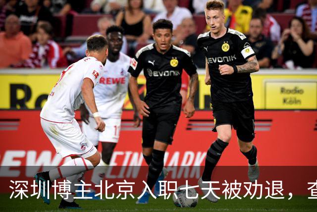 深圳博主北京入职七天被劝退，查清举报人后，心比失业更凉
