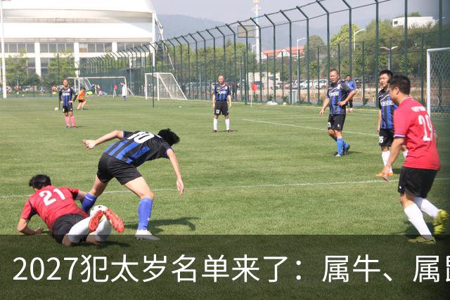 2027犯太岁名单来了：属牛、属鼠、属羊、属狗，谁最凶？如何化解
