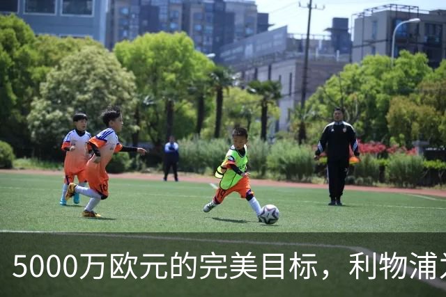 5000万欧元的完美目标，利物浦为何被曝缺席争夺